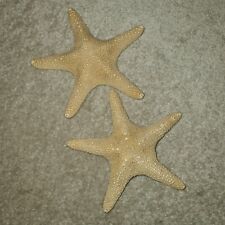 Pair dried large for sale  GUILDFORD