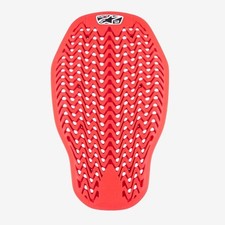 Paraschiena moto omologato usato  Sesto San Giovanni