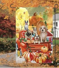 Boston terrier pug for sale  Hampton