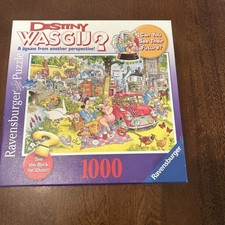 Wasgij destiny picnic for sale  Pickerington