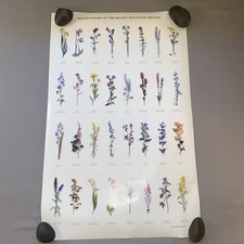Vintage wildflowers rocky for sale  Haymarket