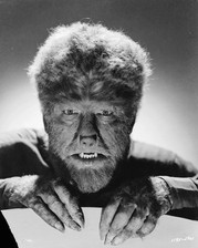Universal monster wolfman for sale  USA