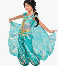 Disney aladdin princess for sale  Grayslake