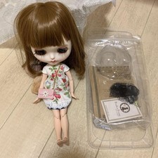 Blythe custom ice d'occasion  Expédié en Belgium