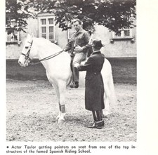 Robert taylor lipizzaner for sale  Palm Bay