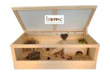 Hamster mouse gerbil for sale  KETTERING
