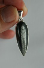 Rthoceras anhänger versteiner gebraucht kaufen  Nördlingen