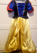 Costume carnevale bambina usato  Italia