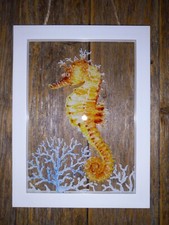 Seahorse sea coral for sale  Sandpoint