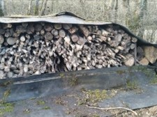 Stères bois chauffage d'occasion  Trélon