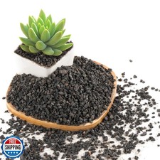 2.4lb black lava for sale  San Jose