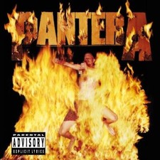 Reinventing the Steel - Audio CD By PANTERA - GOOD segunda mano  Embacar hacia Mexico