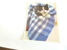 Série chats chaton d'occasion  Nice-