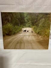 Vintage bear cubs for sale  Alanson