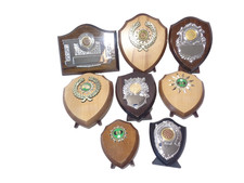 Trophies shields clean for sale  ILFORD