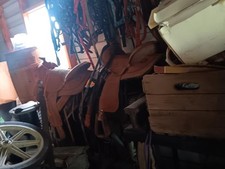 american saddlery saddles for sale  Townville
