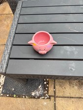 Percy pig succulent for sale  BRIDGWATER