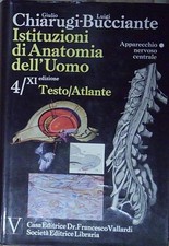 Chiarugi bucciante istituzioni usato  Italia