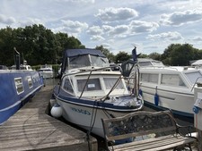 River cruiser live for sale  UK