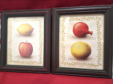 Vtg fruit prints for sale  Trenton