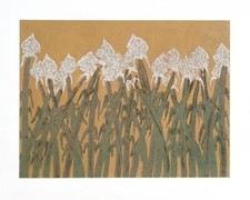 Hassan fathi 100x125 usato Hassan fathi 100x125 usato  Italia