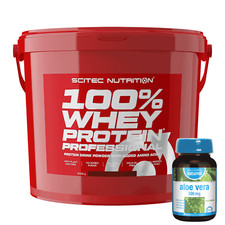 Scitec nutrition 100 usato  San Severo