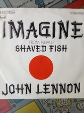 vinile john lennon usato vinile john lennon usato Ornavasso