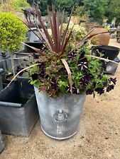 Galvanised planter zinc for sale  OAKHAM