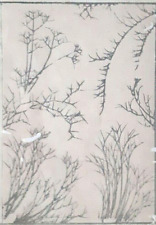 Hokusai manga japanese for sale  OSWESTRY