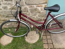 Raleigh ladies pioneer for sale  BARNARD CASTLE