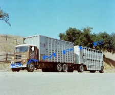 Color 8x10 semi for sale  Wittmann