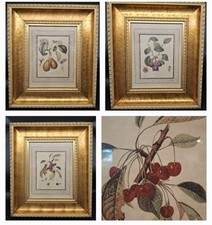 Mcm french botanical for sale  Carlsbad