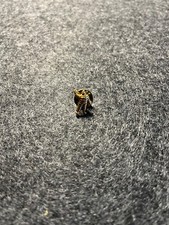 Michelin pin anstecker gebraucht kaufen  Hannover