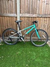 Wild mint premium for sale  KINGSTON UPON THAMES