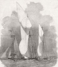 Sailing. royal thames for sale  LONDON