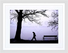 Silhouette tree walking for sale  EDINBURGH