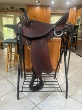 Dixieland gaited western for sale  Land O Lakes