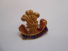 Welch regiment lapel for sale  MARCH