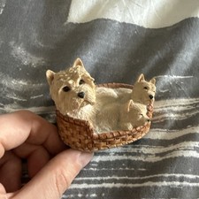 westie pups for sale westie pups for sale RHYL
