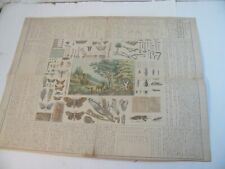 Holzschnitt druck asien gebraucht kaufen  Lüneburg