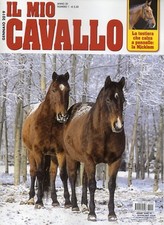 Mio cavallo 2019 usato Mio cavallo 2019 usato  Campagna
