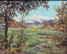 Giovanni saccomano autunno usato  Barge