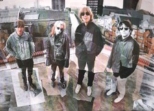 Sonic youth roof for sale  WREXHAM