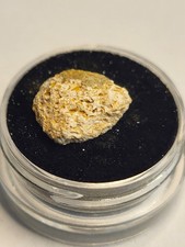 Small genuine dinosaur for sale Small genuine dinosaur for sale  SOLIHULL