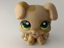 Littlest petshop authentic d'occasion  Le Mans