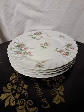 Assiettes haviland porcelaine d'occasion Assiettes haviland porcelaine d'occasion  Limoges-