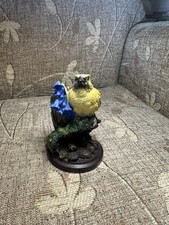 Country bird collection for sale  BALLYMONEY