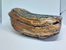 Partial wooly mammoth for sale  LONDON