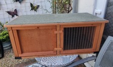 Rabbit guinea pig for sale  WORCESTER