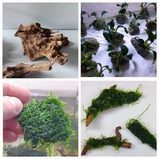 Aquarium deko 4er gebraucht kaufen  Lich